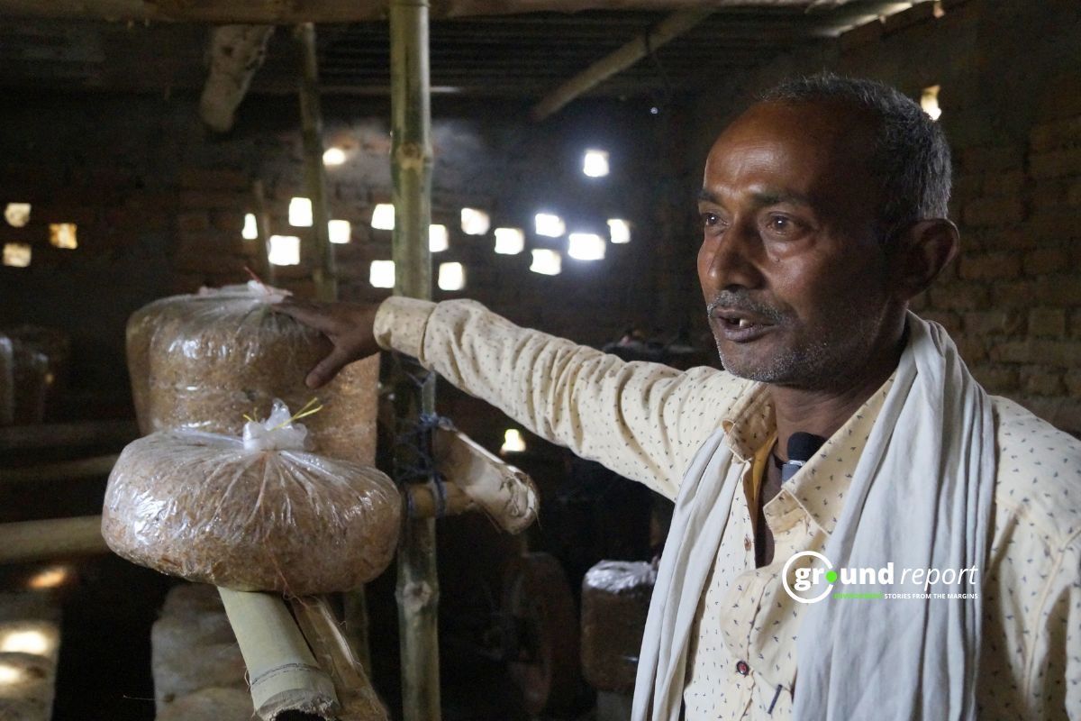 Mushroom Farming in Muzaffarpur Bihar