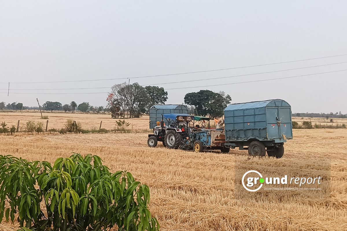 Climate Change Is Driving Up Your Grocery Bill, And It's Getting Worse