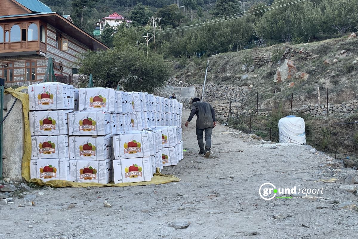 Approx 3.5 million farmers, representing 27 % of Kashmir’s population, have apple orchards.