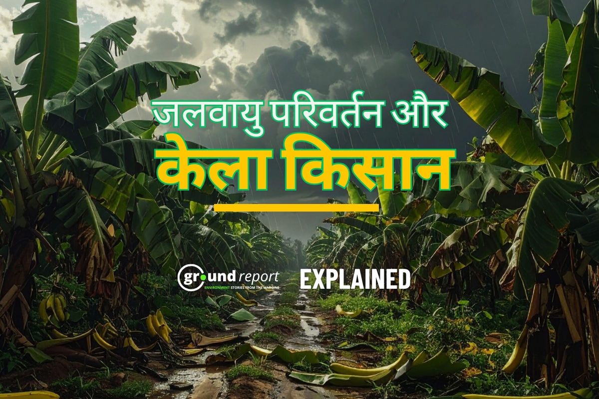Climate change impact on banana farmers in India