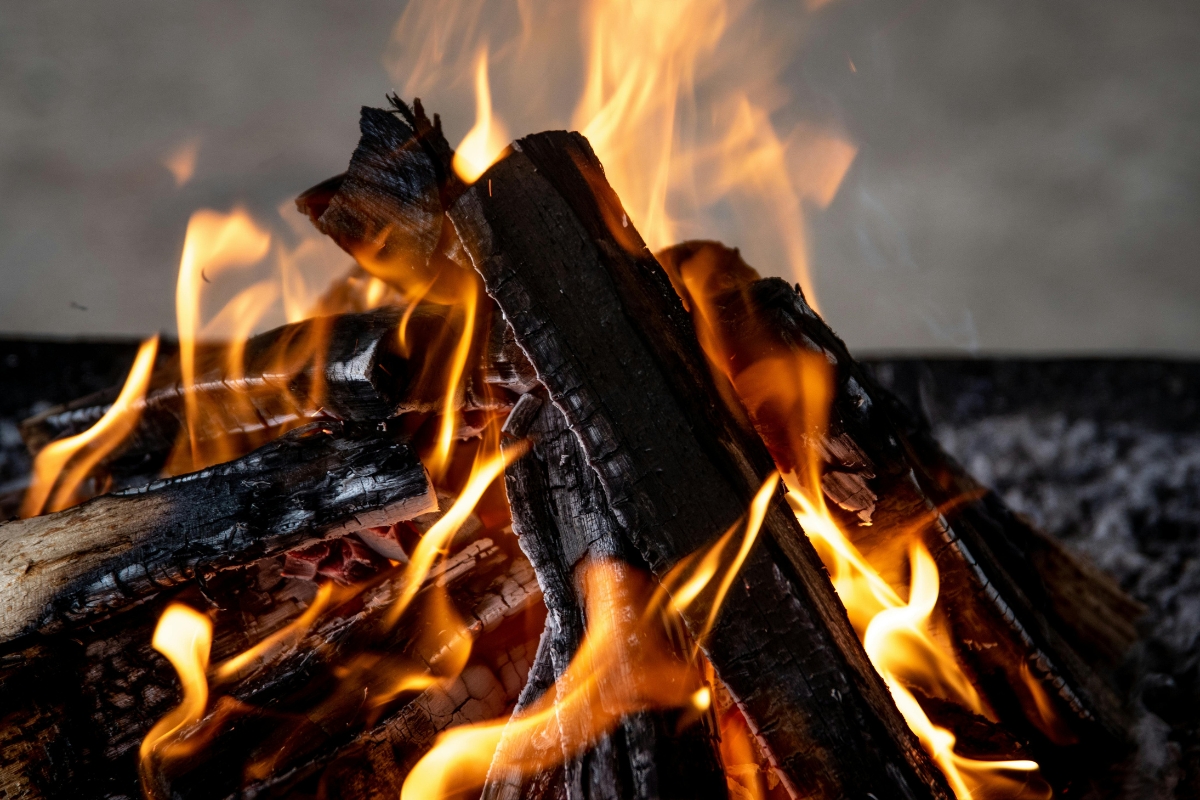 40% of Indian Households Still Cook with Firewood Despite Gas Connections