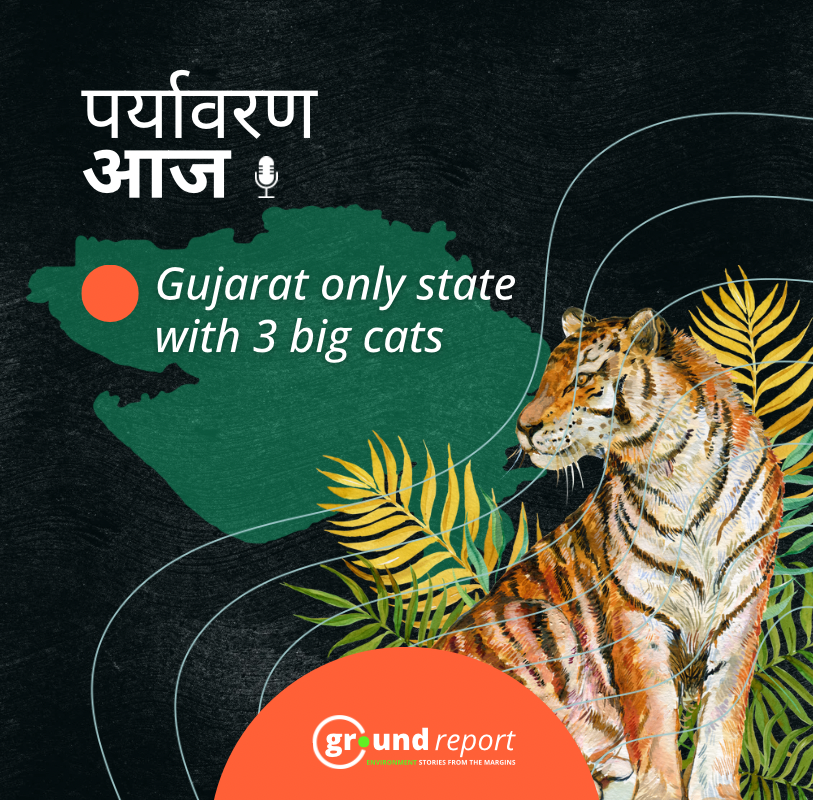 Gujarat is now a tiger state