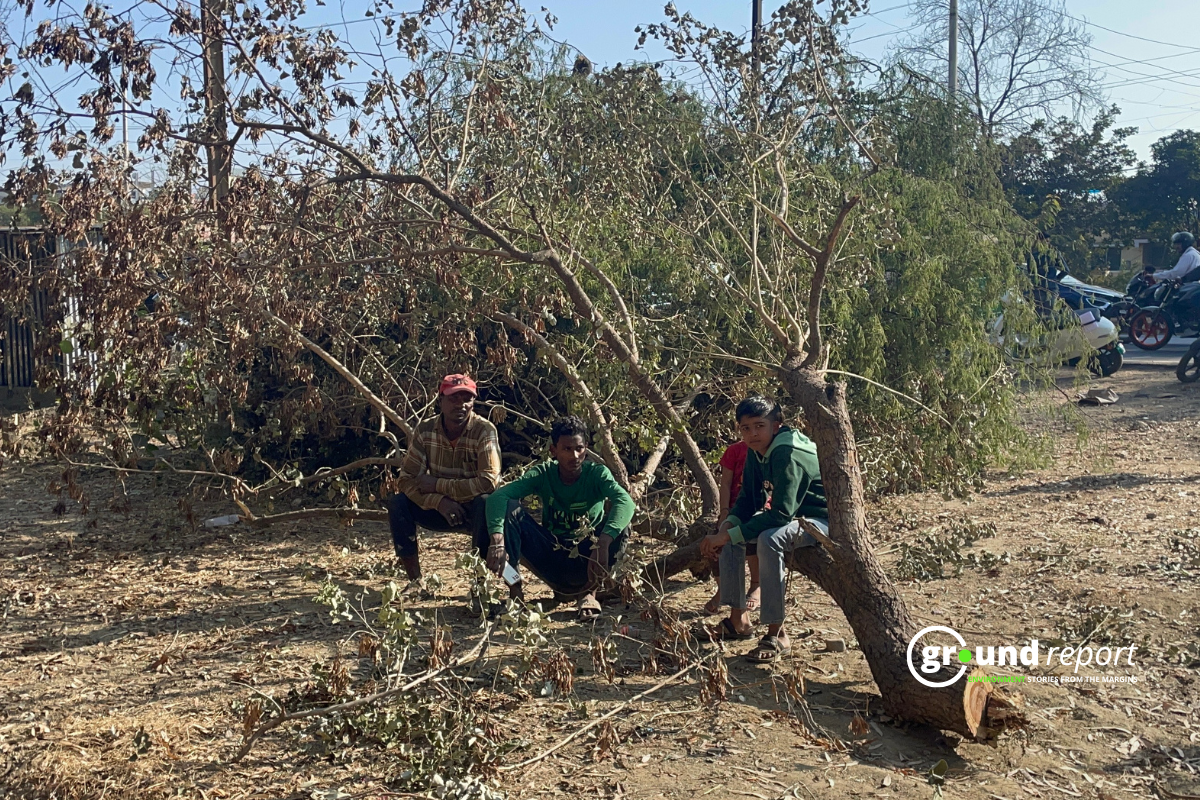 NHAI ने कोर्ट के आदेश के खिलाफ भोपाल में काट दिए 1500 पेड़