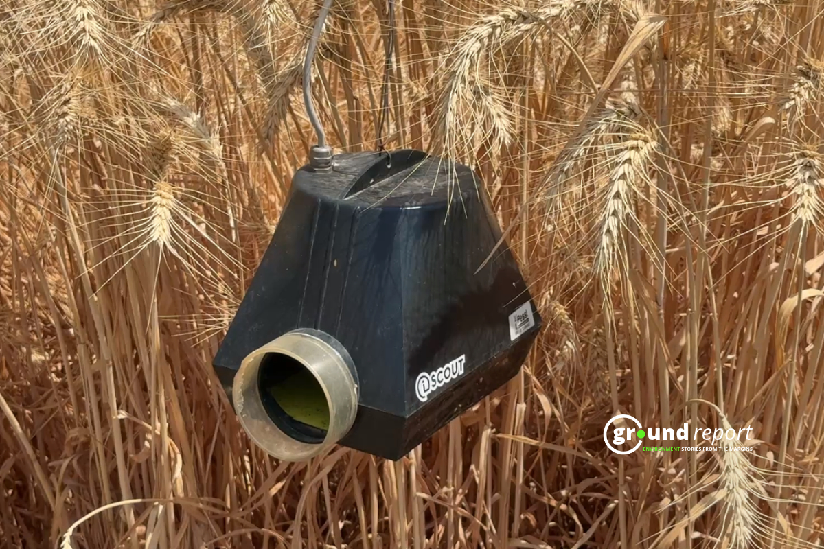 IScout Camera AI Camera for agriculture