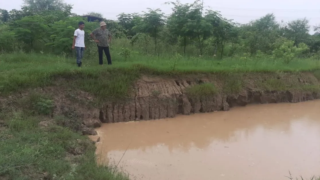 How rainwater can be used for years, Peepal Baba presents a brilliant example