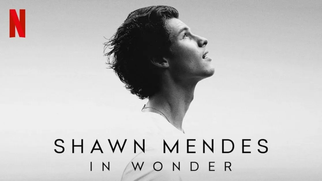Shawn Mendes in Wonder reviews