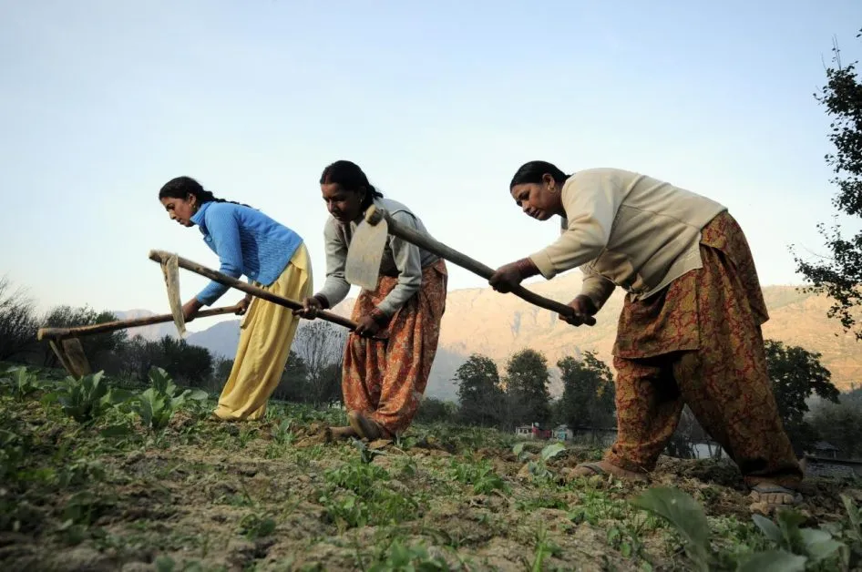 कुपोषण से लड़ने के लिए बंजर ज़मीन पर खेती करती महिलाएं