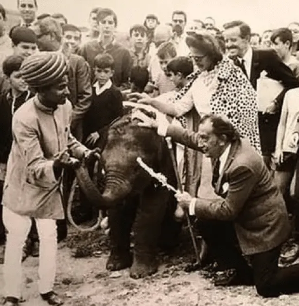 When Air India gifted baby elephant