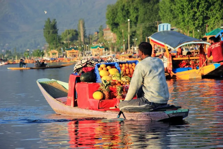 UNESCO creative tag for Srinagar, How important it is