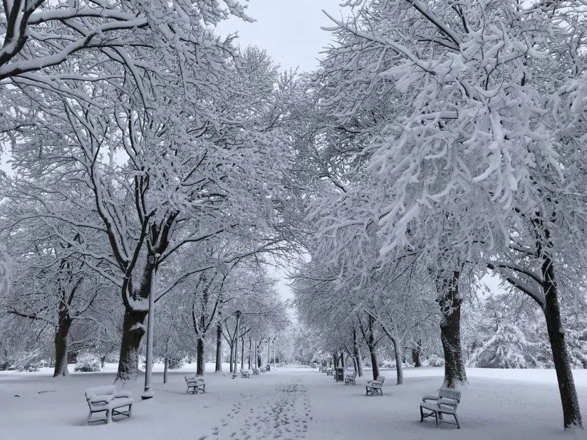 10 places to see snowfall in December and January