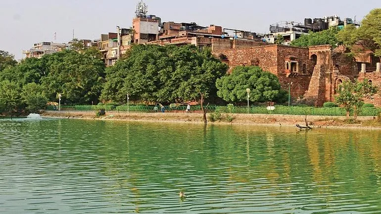 Read more about the article Delhi to notify 10 Water Bodies as wetlands, How this helps?