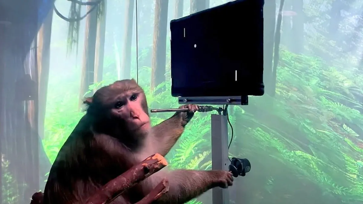 How the Neuralink Company killed 15 Monkeys