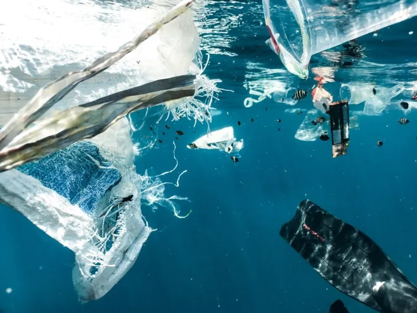 Amount of plastic in oceans will quadruple by 2050, study says