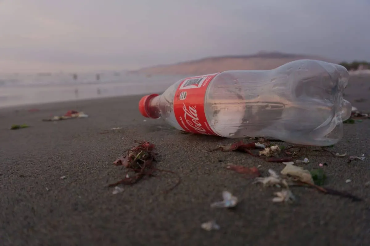 Coca-cola is the worst plastic polluter in the world
