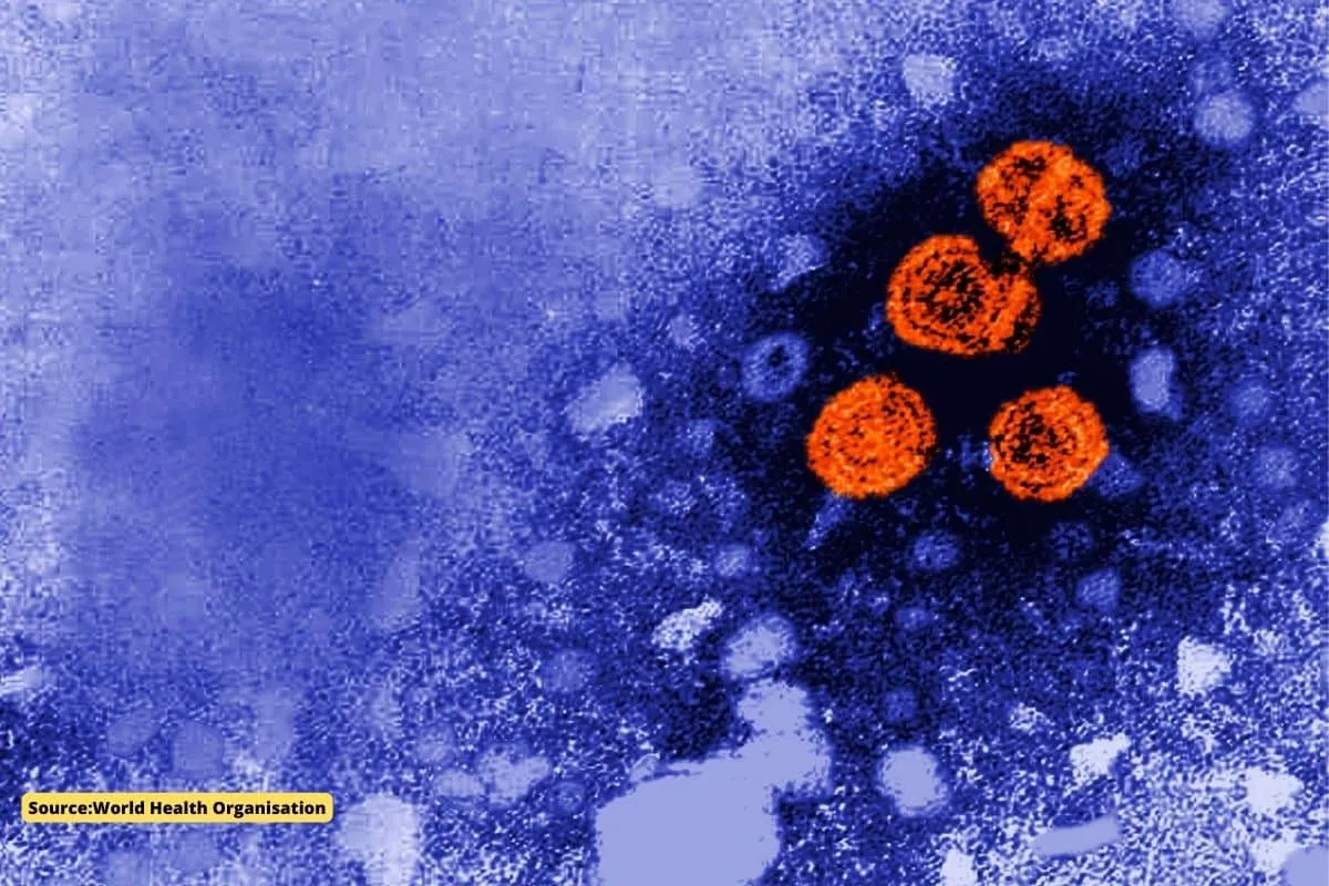Hepatitis Outbreak in Children