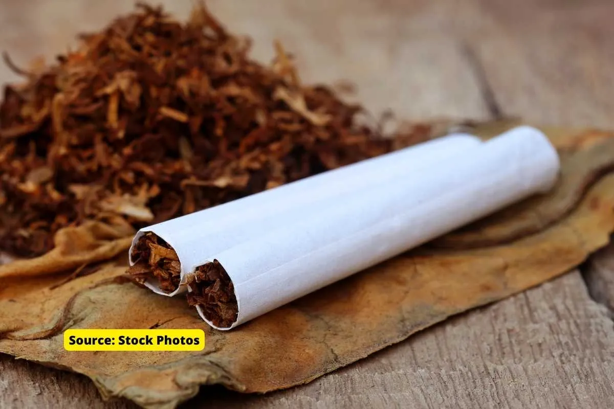 How are Cigarettes harmful to the environment?