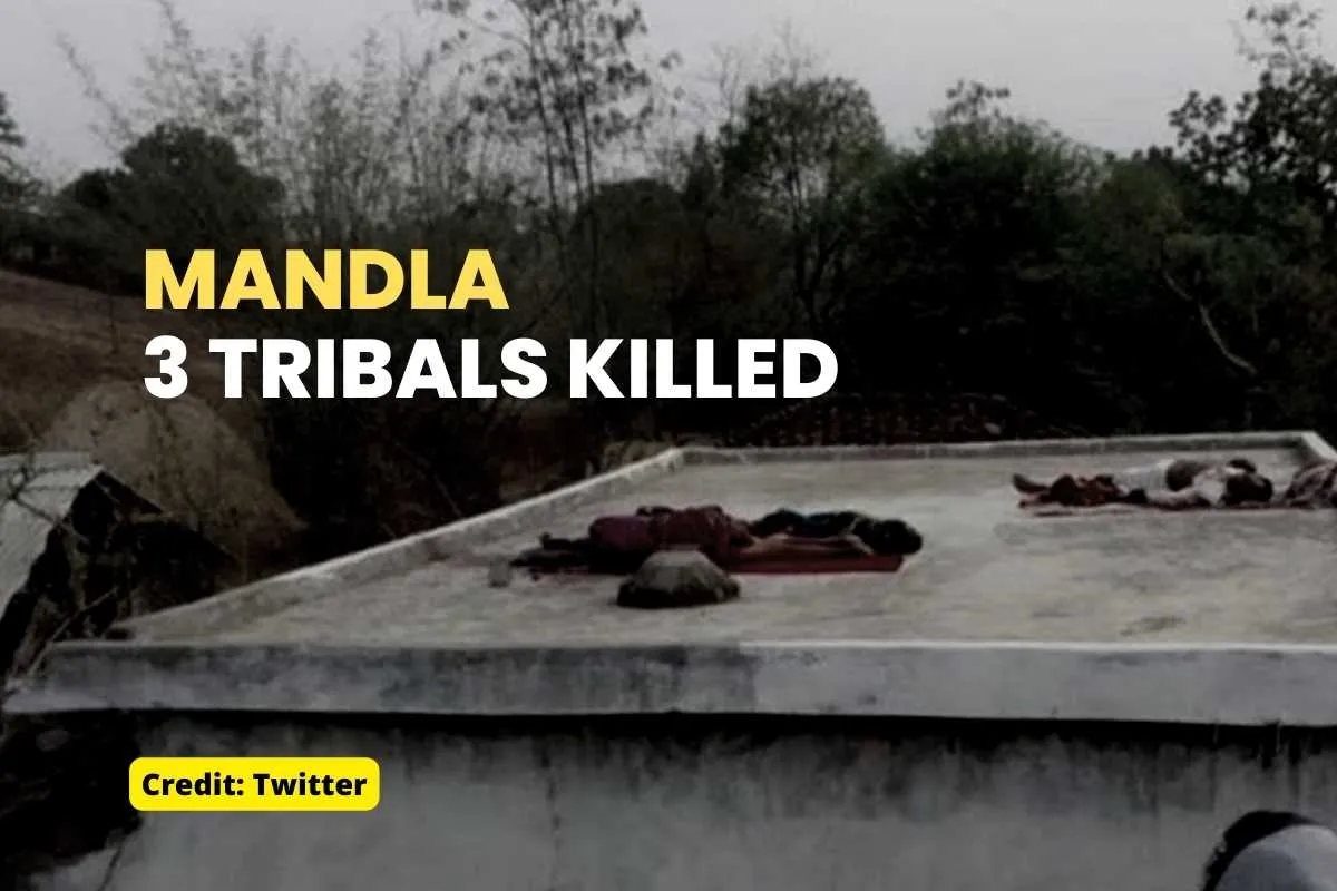 Tribals killed in Mandla MP