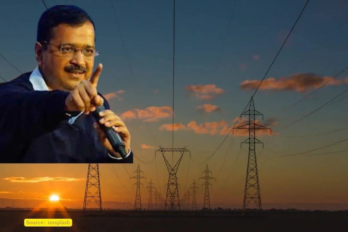 Delhi govt put electricity subsidy; What does that mean?