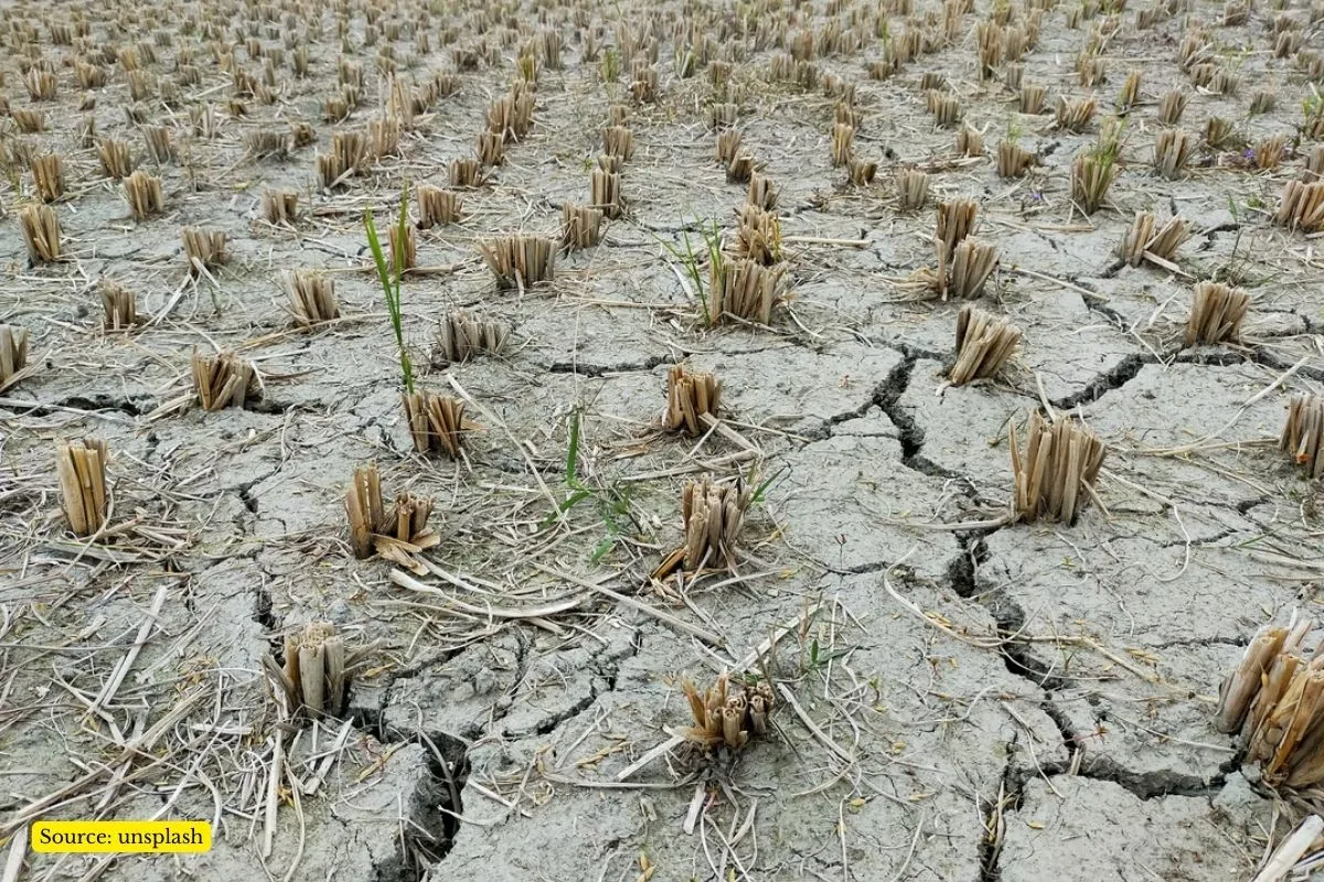 Water Scarcity To Worsen In 80% Of Croplands Globally