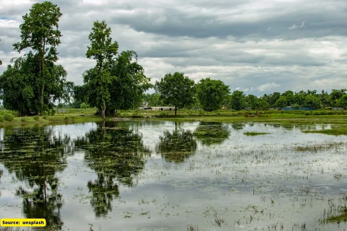 When will the monsoon arrive in your state this year?