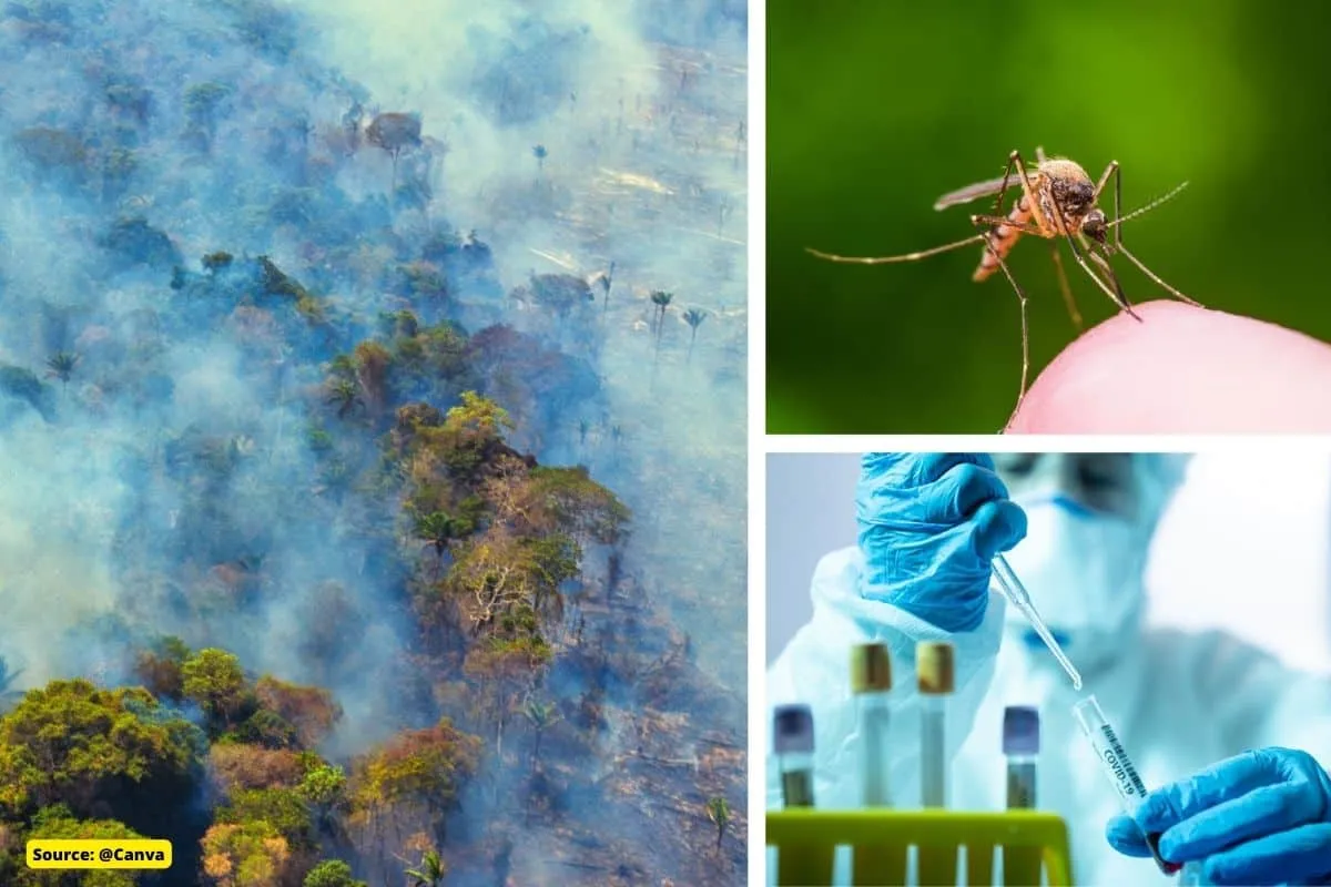 What are the diseases that are increasing due to climate change?
