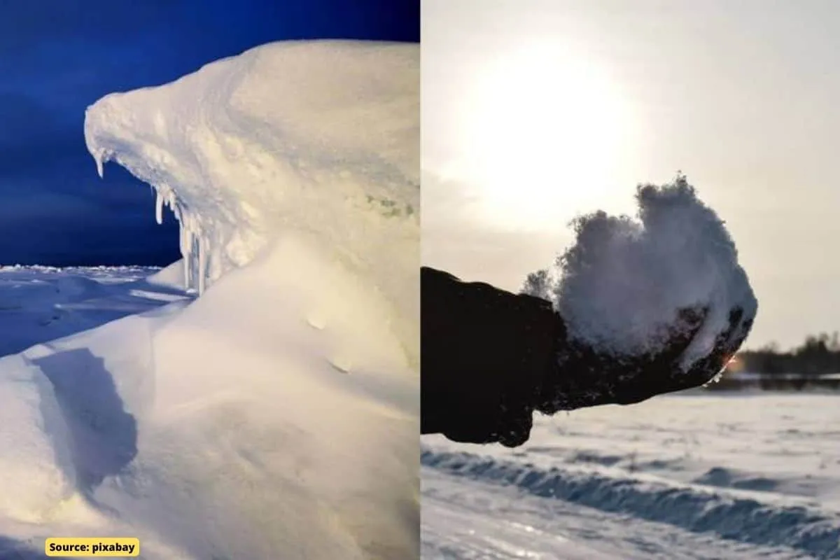 Climate change Warning: Microplastics found in fresh snow in Antarctica