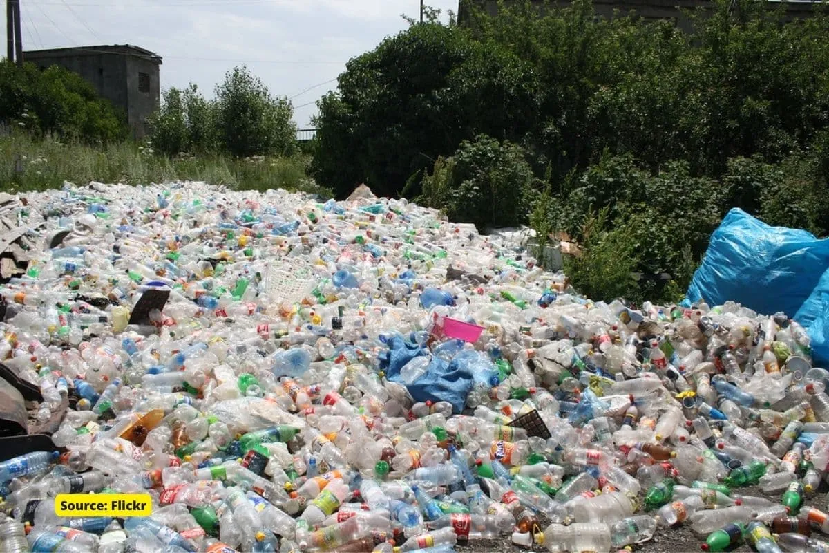 Plastic waste: Here's what it could look like by 2060