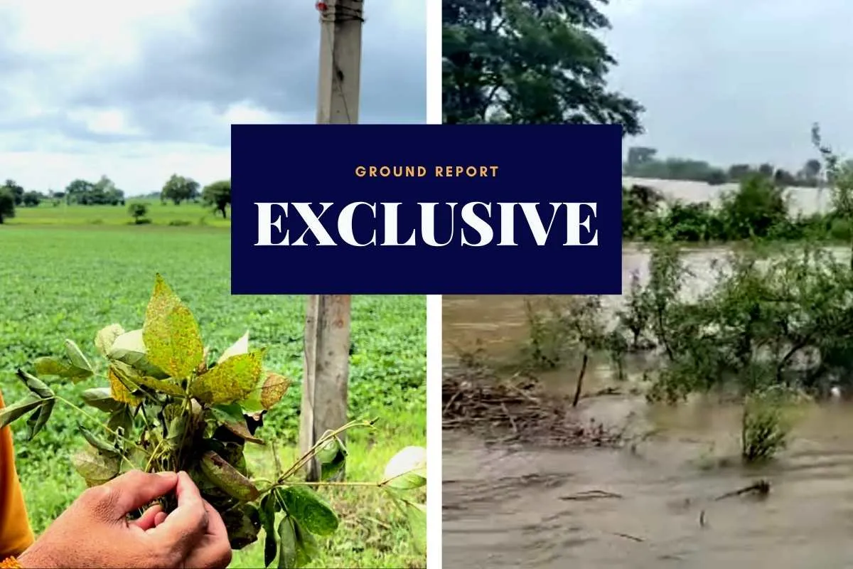 Narsullaganj Floods and soyabean crop failure