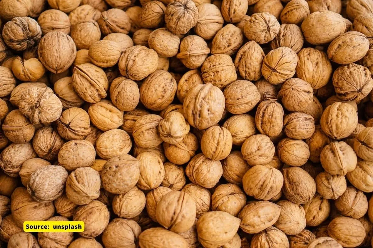 How Climate Change is impacting Walnut yield in Kashmir?