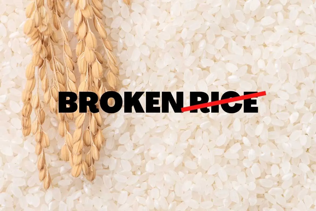 rice export ban by India