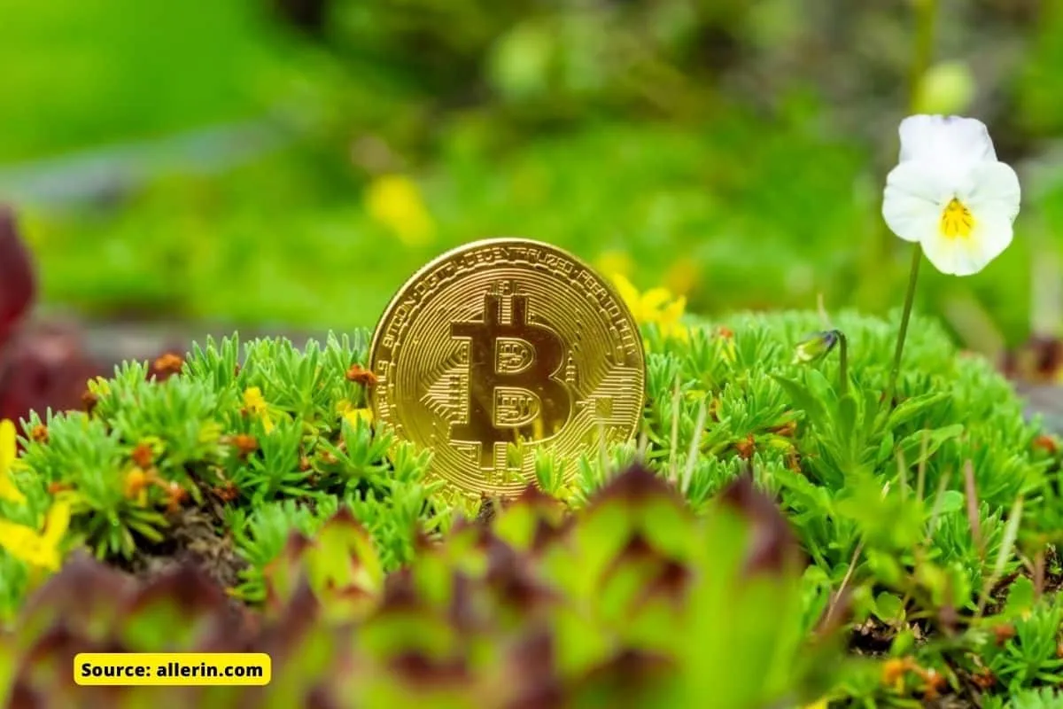 what is the environmental impact of cryptocurrency 