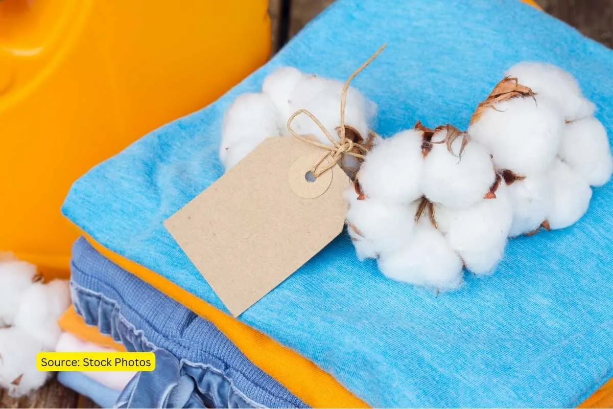 cotton yield decreasing due to climate change