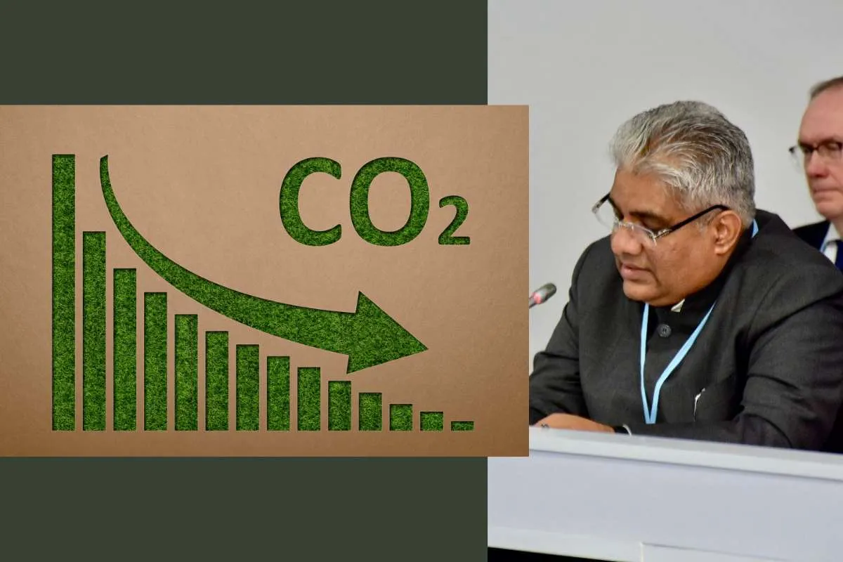 Long-term, Low-emission development strategy of India