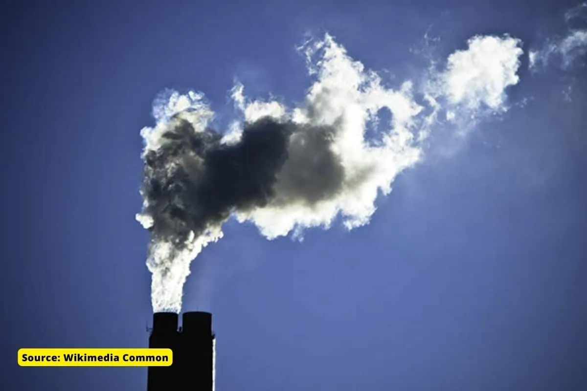 How much CO2 is being removed from the atmosphere?