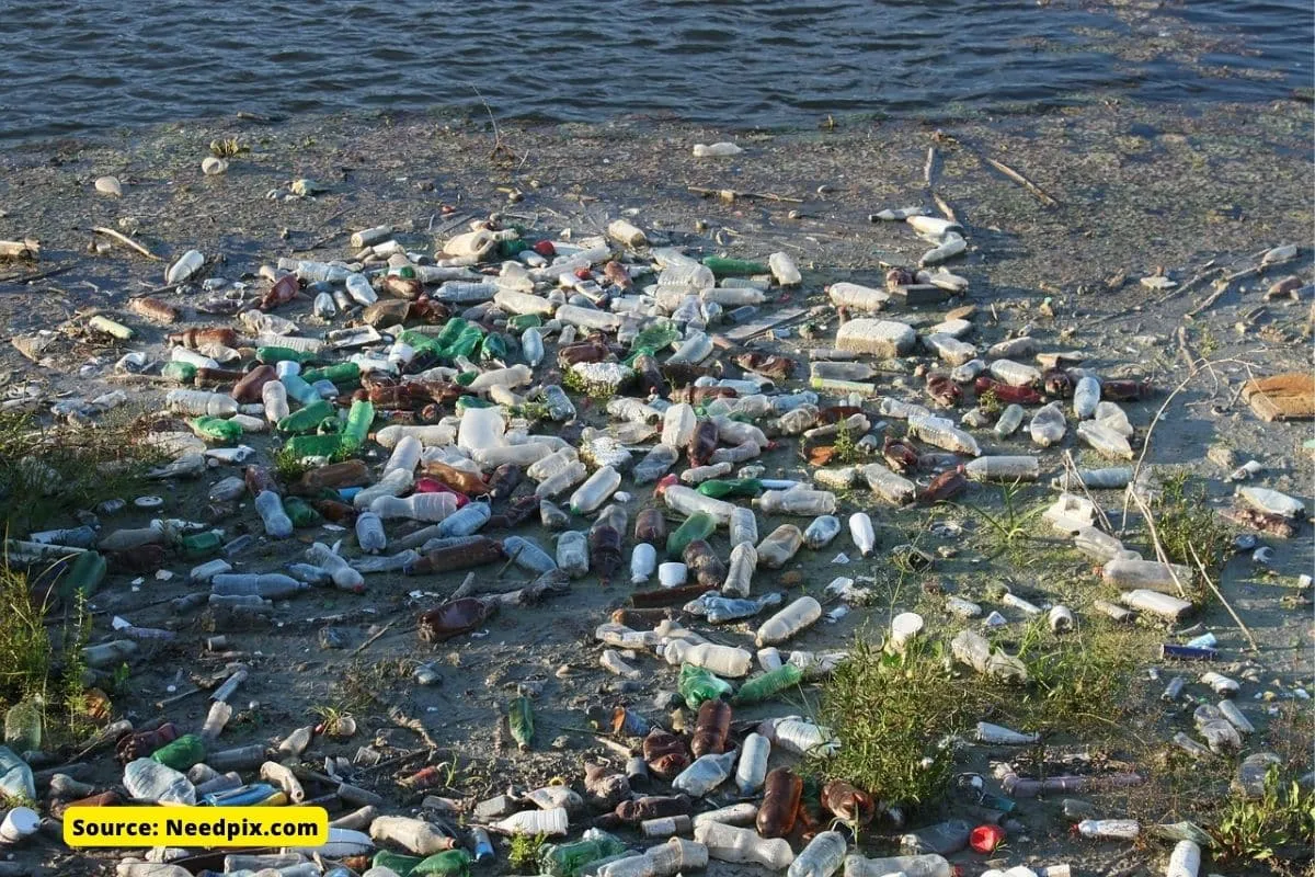Cop27: world needs a target of 0% plastic waste by 2040