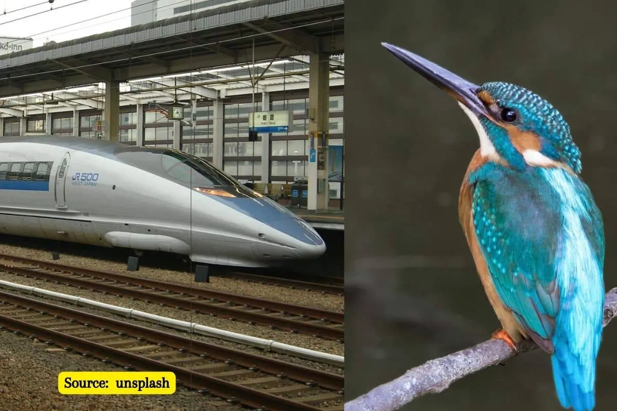 How did the kingfisher inspired the bullet train?