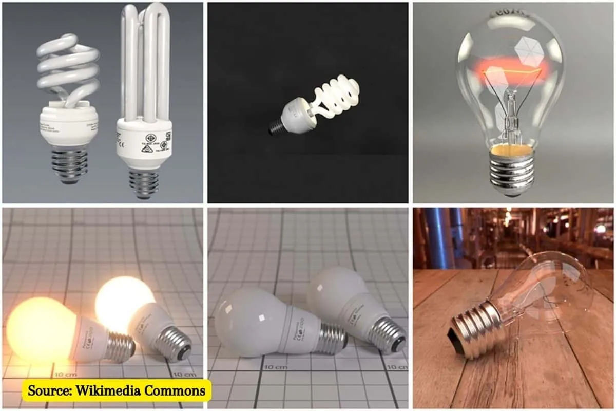 How to Recycle Light Bulbs and Why You Should