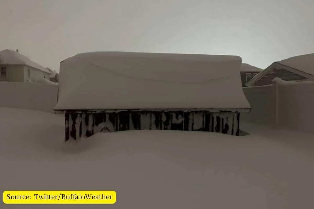 Buffalo blizzard, What exactly happened?