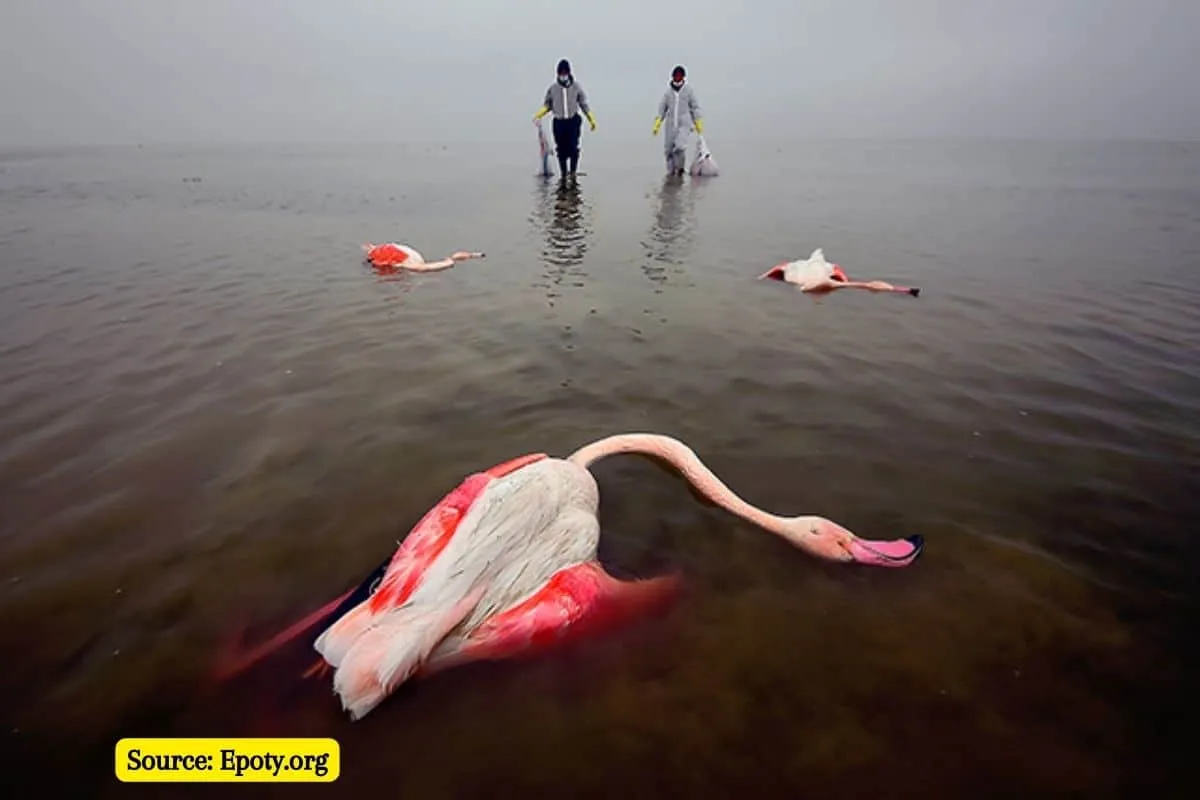 Best environmental photographer 2022: the winning images