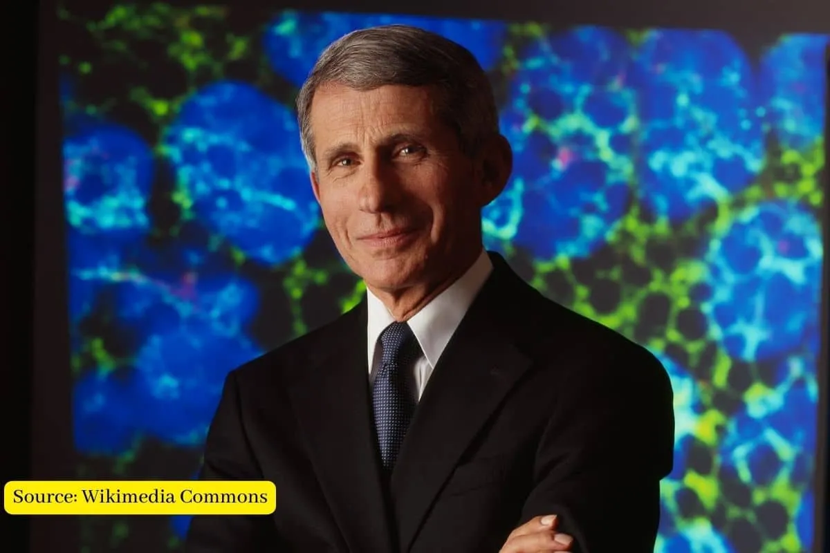 What Dr. Anthony Fauci did for America?