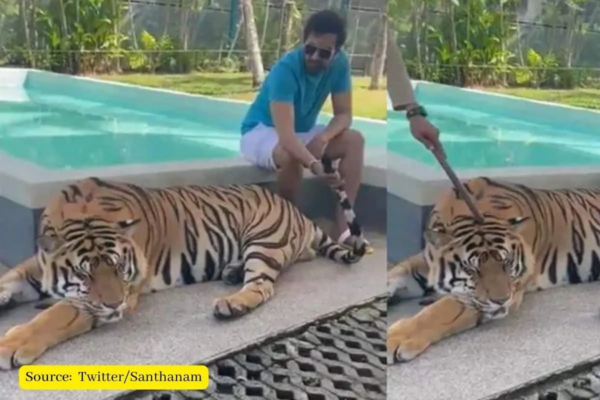 Santhanam shares video of himself with tiger, Netizens outraged