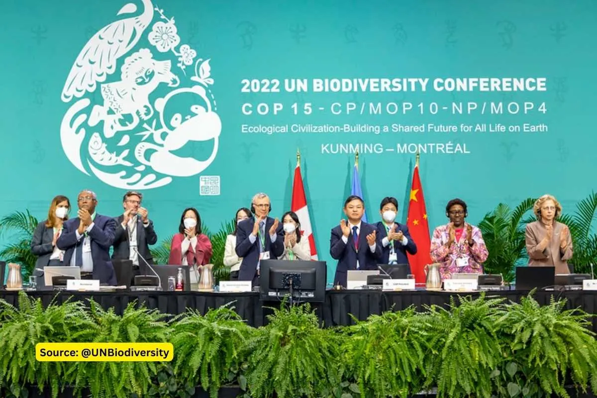 COP15 2022 Global Biodiversity framework, Explained!
