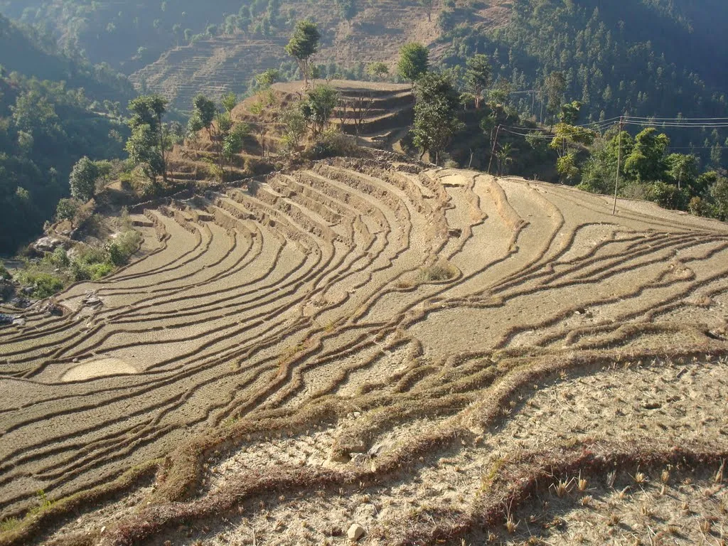 Agriculture land of Nepal