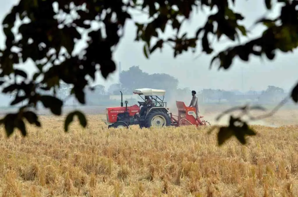 Agriculture in Punjab