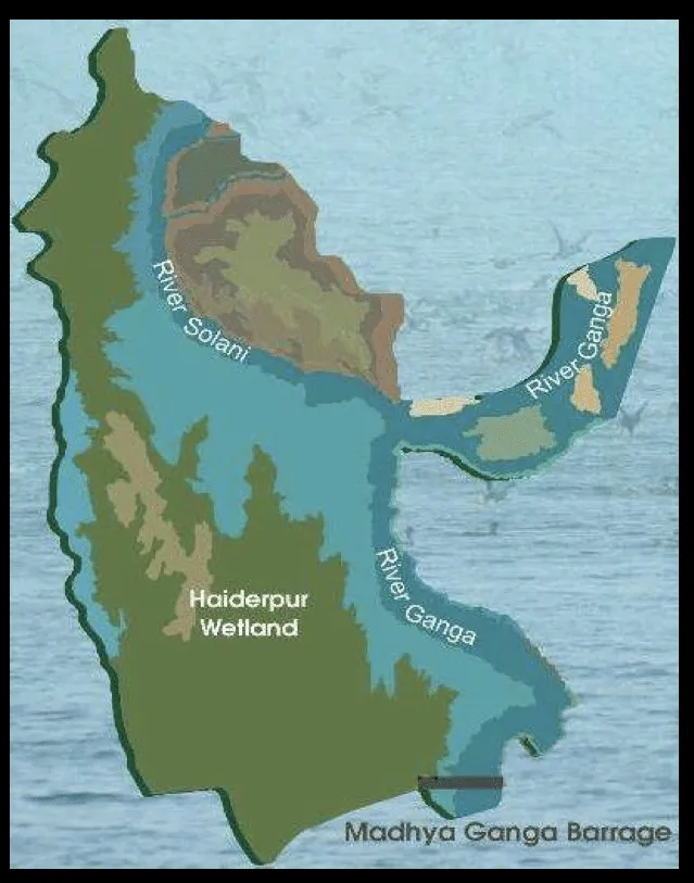 haiderpur wetland map