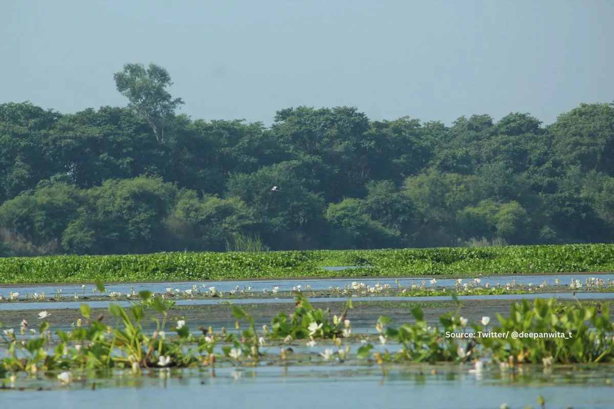 haiderpur wetland conservation