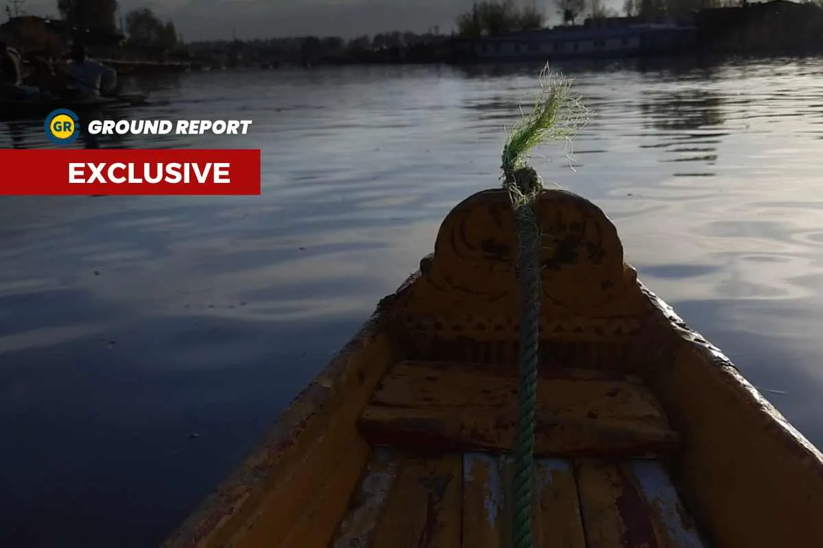 Mystic Dal Lake turning into a swamp lake due to pollution