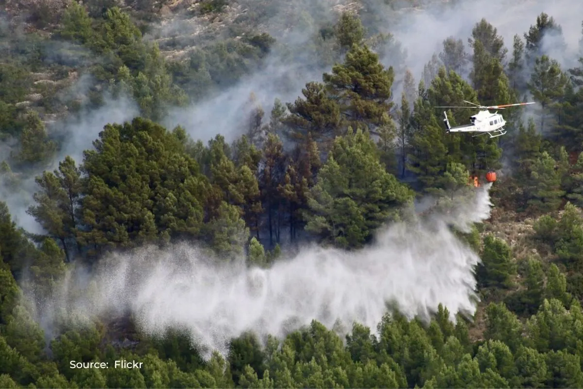 Spain’s forest fire starts early, 4,000 hectares already scorched