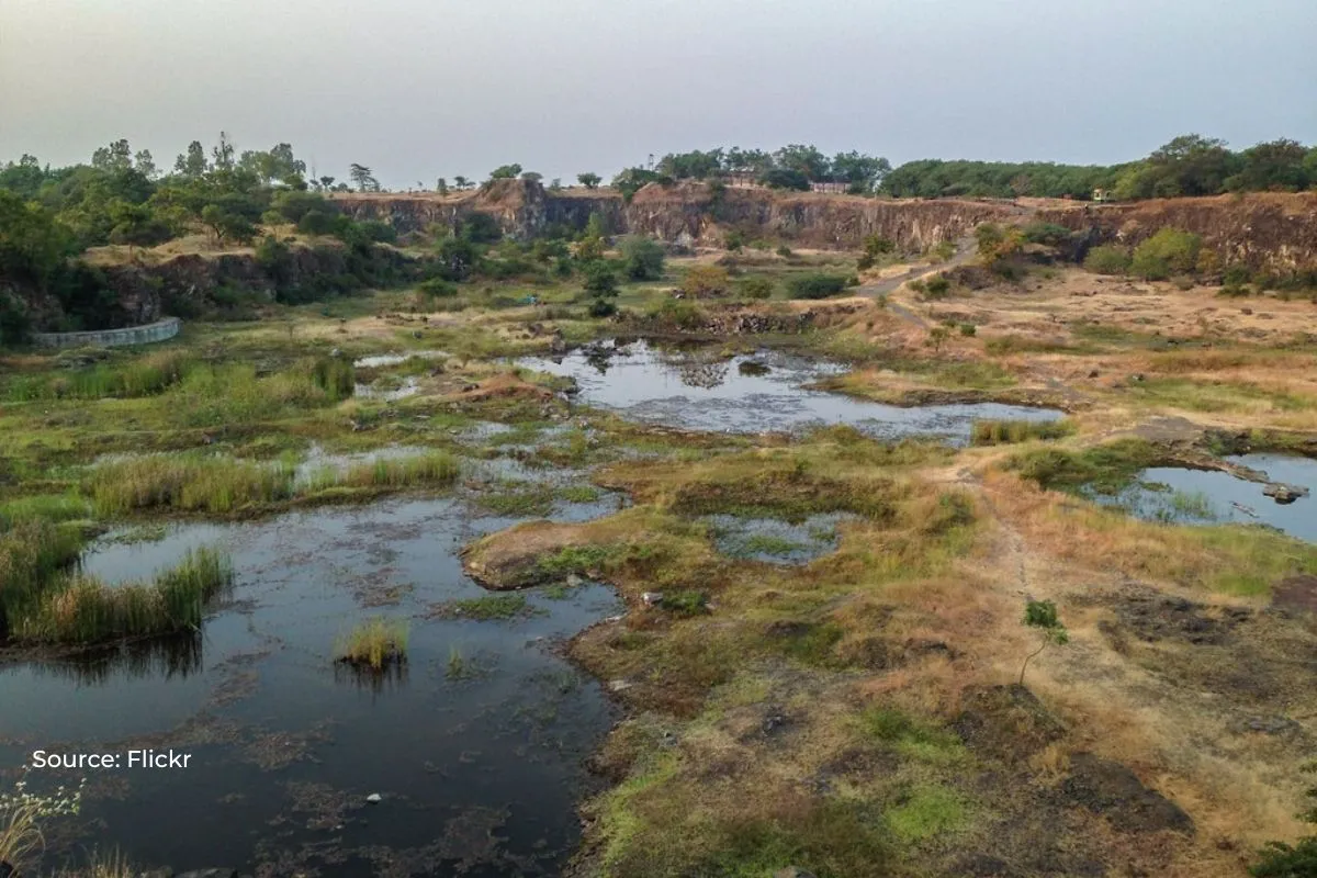 15,301 wetlands encroached in UP, Its highest in the country