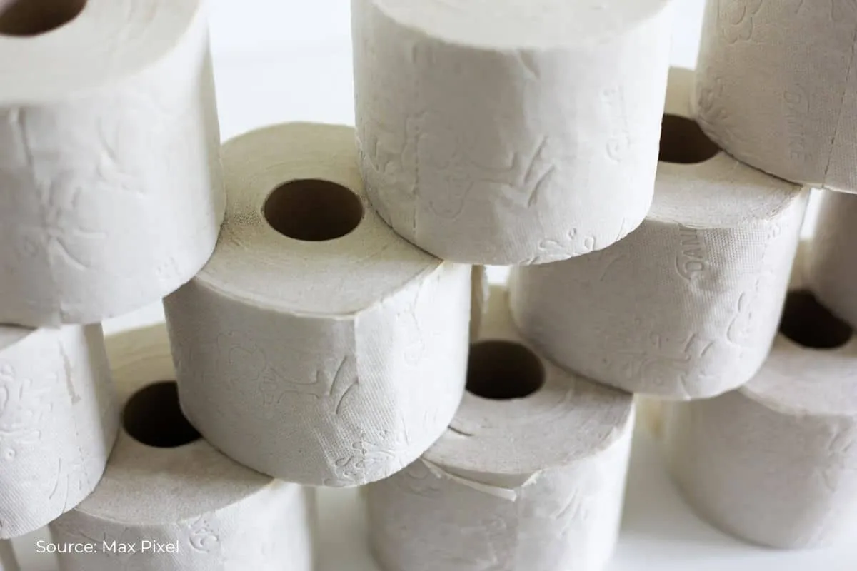 'Forever Chemicals' found in all the world's toilet paper